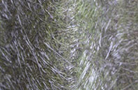 Keele fibreglass roof work